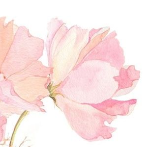 Meet your Posher, Helen